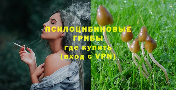 прущие грибы Кинешма