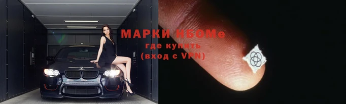 прущие грибы Кинешма