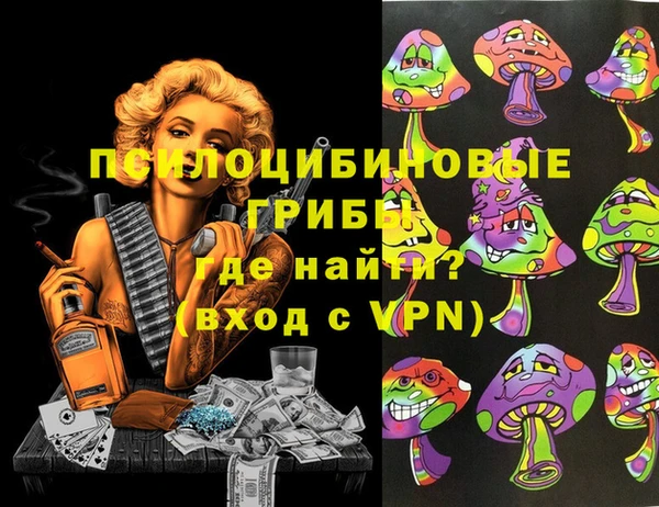 прущие грибы Кинешма