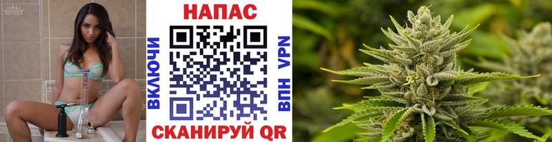 Бошки Шишки гибрид  как найти закладки  Кодинск 